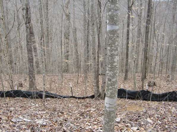 0 W Bobcat Ln #60, Wilder, TN 38589