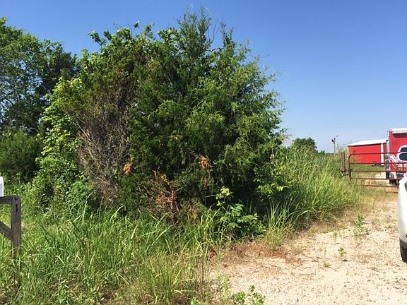 2nd image of 1238 County Road 4109