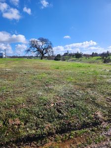 3680 Teepee Ct, Ione, CA, 95640