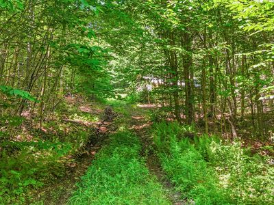 359 Bear Cub Ln Building 6, Lake Placid, NY, 12946