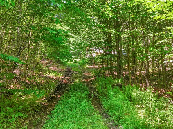 359 Bear Cub Ln Building 6, Lake Placid, NY 12946