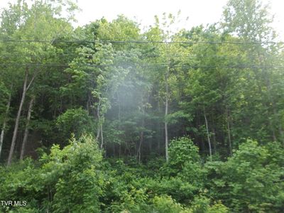 429 Creekside Dr, Mount Carmel, TN, 37645