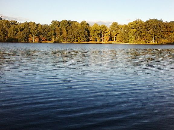 shoreline Little Fox Lake  