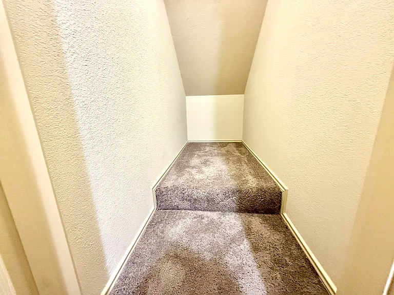 Closet in the laundry room