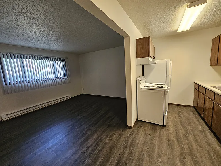 Kitchen / Living