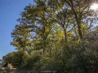 12943 Bartkowiak Rd, Bremond, TX 76629