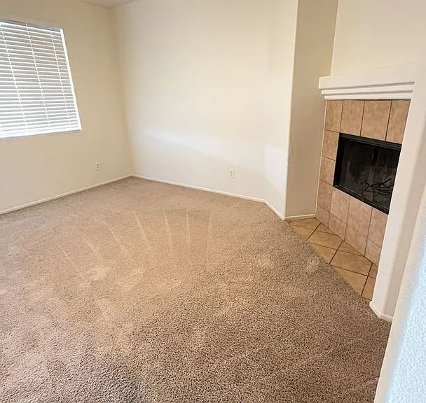11584 Fern Pine St — Photo 17