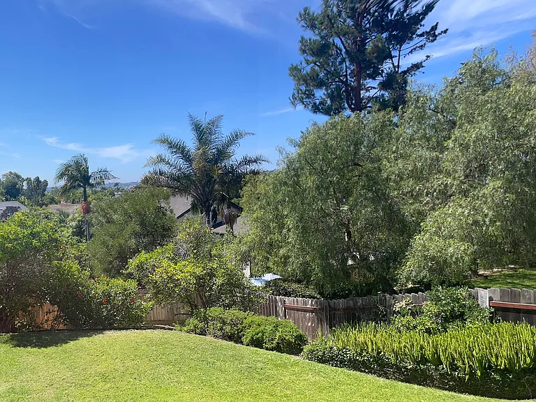 2415 Levante St — Photo 4