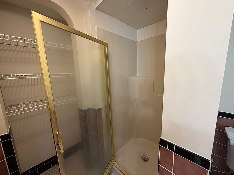 Master bath shower