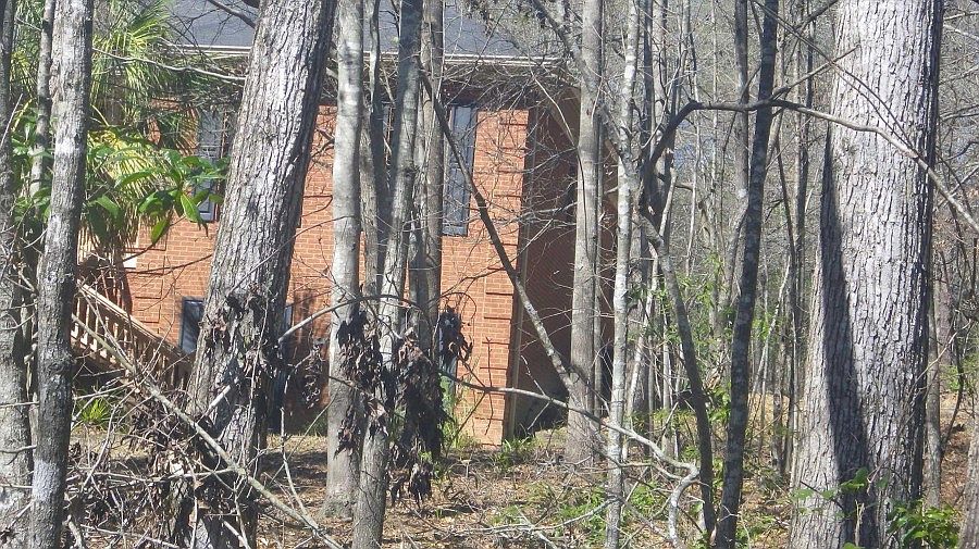 2nd image of 511 Harmon St
