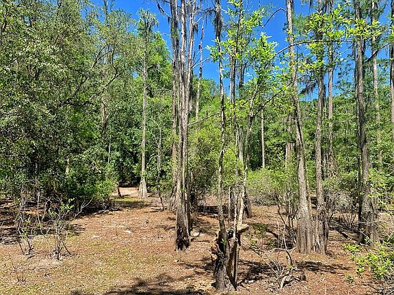 2nd image of 7580 S County Road 53