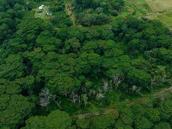 5th image of LOT 26 A Rd