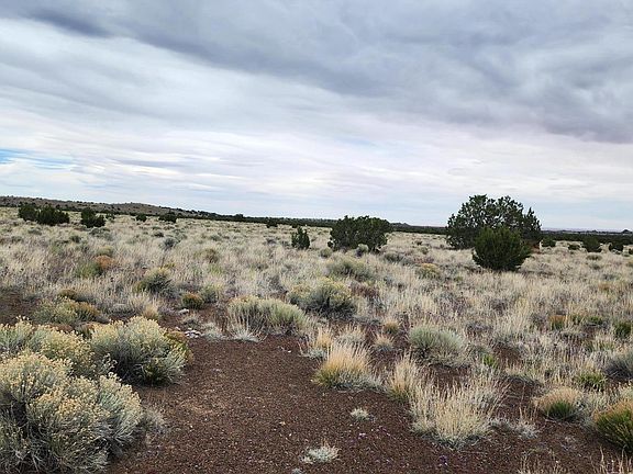 5th image of 30342036C Alpine Rancho