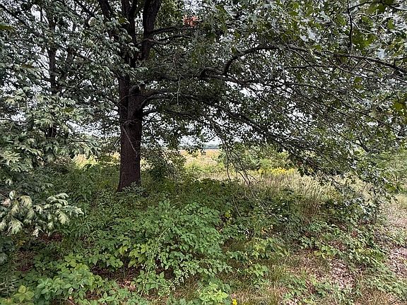 4th image of 3307 S Wheeler Rd
