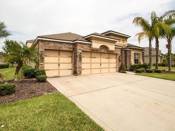 Palm trees in the front