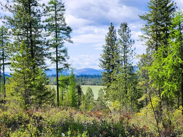 3669 E Jump Off Rd, Valley, WA 99181