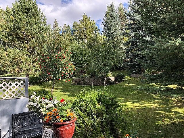 Back yard from deck