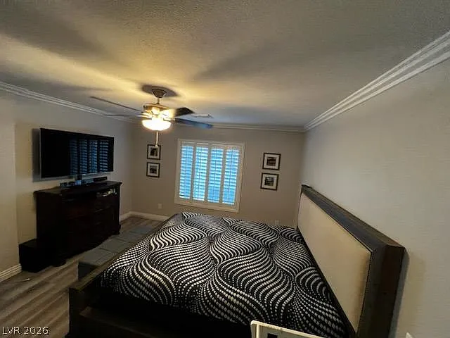 8524 Caladium Ct — Photo 11