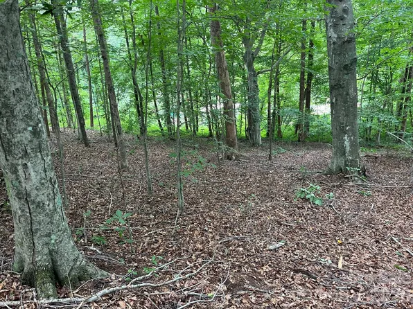 Moore Branch Rd, Nebo, NC 28761