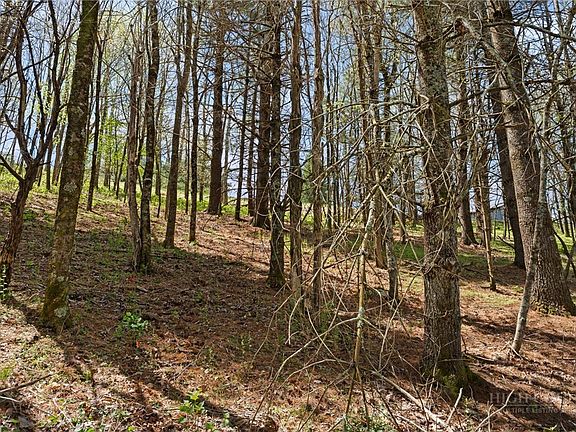5th image of TBD Highland Ridge Road