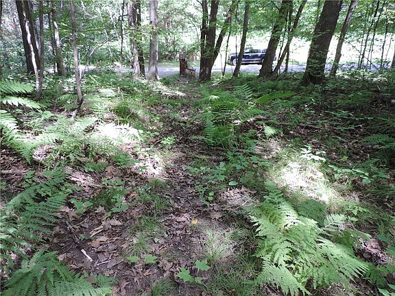 5th image of Lot 1 Ripley Road