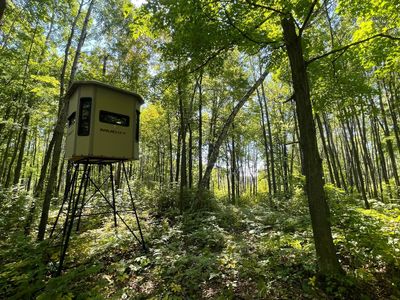 370th Ave, Sandstone, MN, 55072