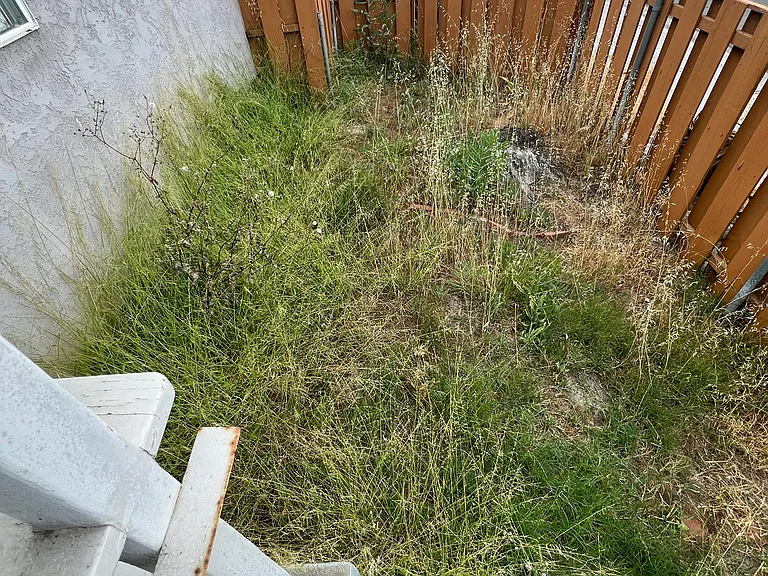 6737 Osler St #1 — Photo 13