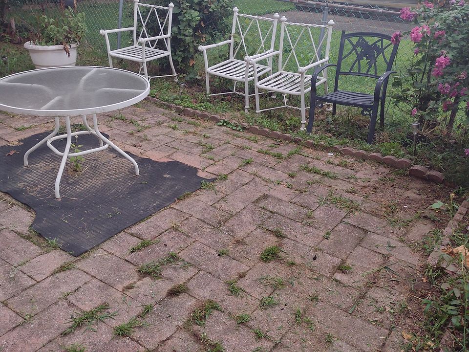 02 Backyard