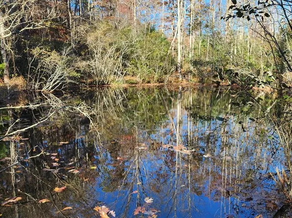 0 Dobyns Rd, Claudville, VA 24076