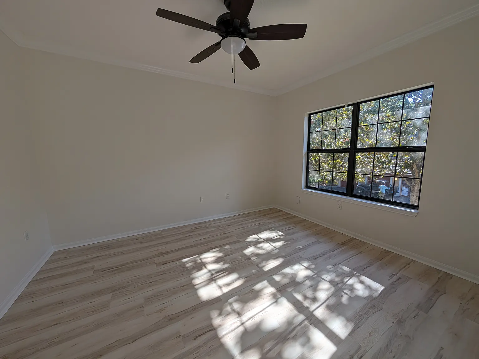 Updated 2 bedroom in Palm Harbor — Photo 3
