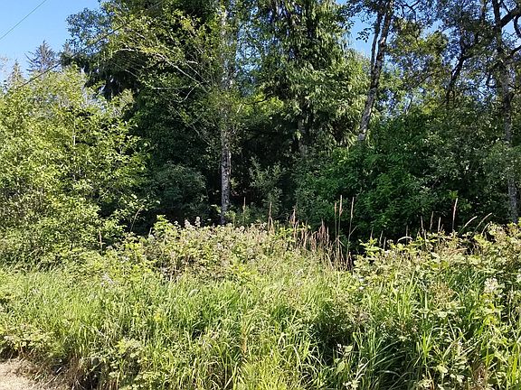 5th image of 0 Alabama Ln