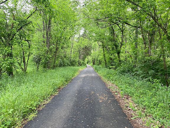 Jess Ray Road along the south area of the property