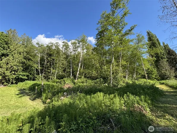 0 Anderson Road, Mount Vernon, WA 98274