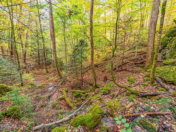 42nd image of 205 Tobby Hollow Ln
