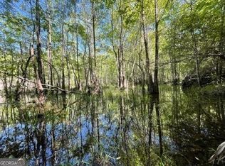 0 Odomville Church Rd, Adrian, GA 31002