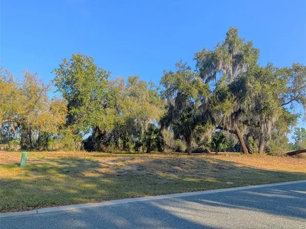 446 Long And Winding Rd #56, Howey In The Hills, FL 34737
