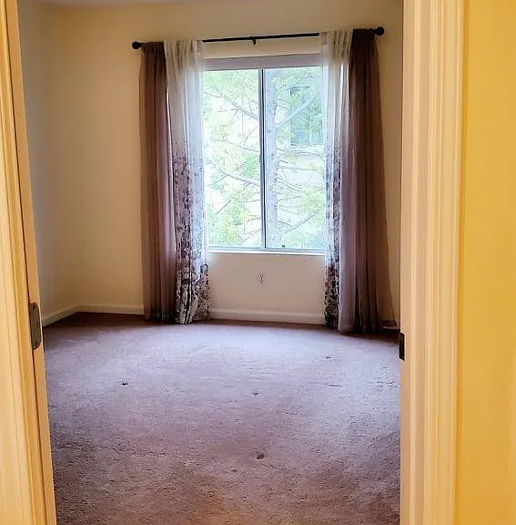 3286 Bruno Dr — Photo 40