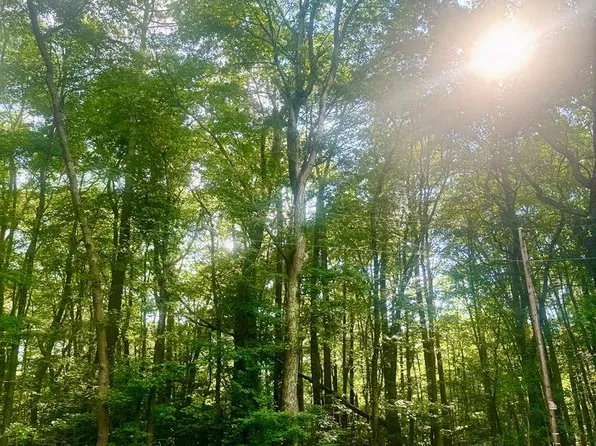 50-51 Presley Creek Dr, Heathsville, VA 22473