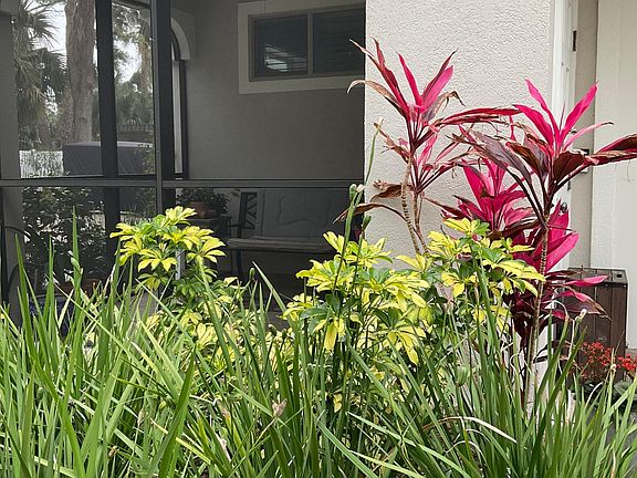 Screened lanai with ceiling fan