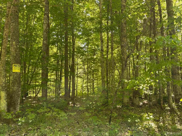 Osborn Drive Rd, Newberry, MI 49868