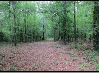 132 Blackmon Rd, Chappells, SC 29037