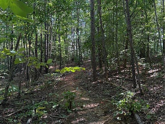 5th image of 5102 Waynick Meadow Rd