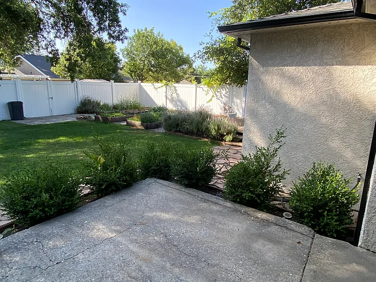 View from patio - right