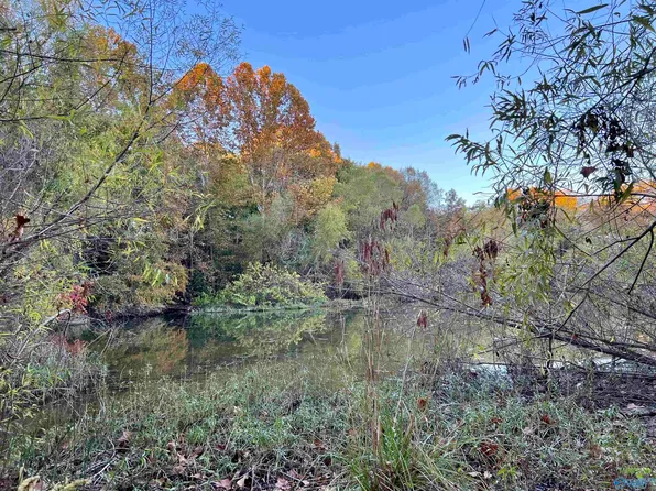 340 County Road 535, Gaylesville, AL 35973