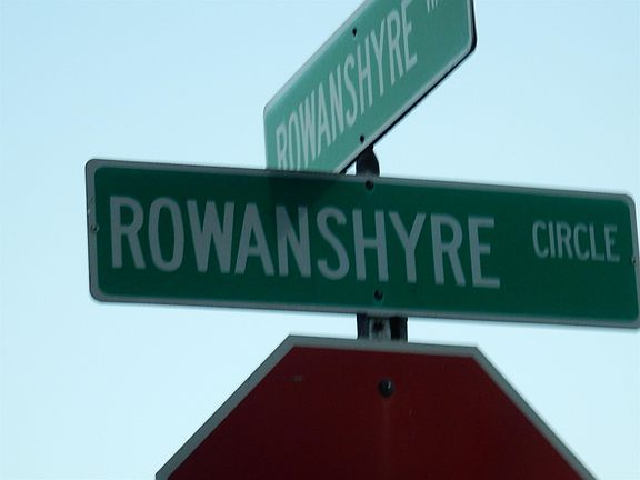 5th image of 1079 Rowanshyre Cir