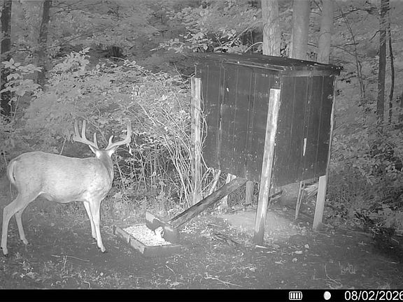 4th image of 52982 Wegee Rd