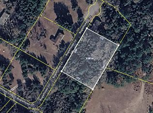 0 Bugleflower Ln, Saint Matthews, SC 29135