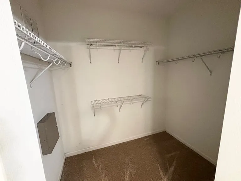 520 Hockendale Cv — Photo 11