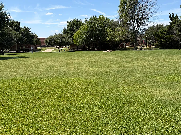 Green Area