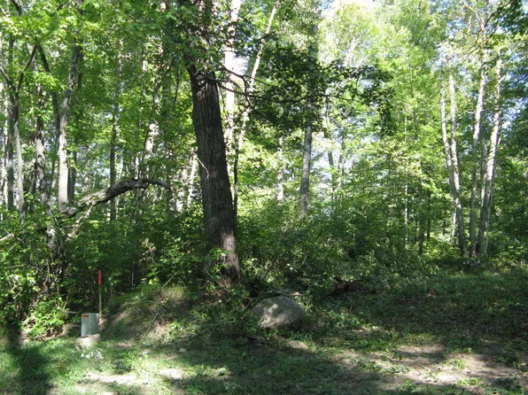 Alpine Dr, Pequot Lakes, MN 56472